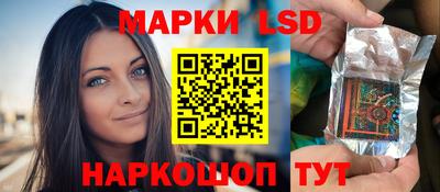 spice Новодвинск