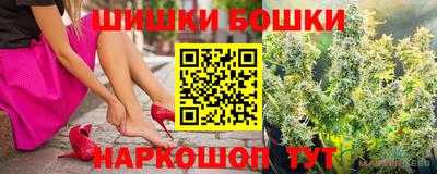 spice Новодвинск