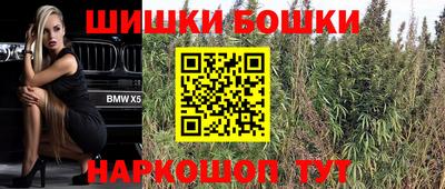 spice Новодвинск