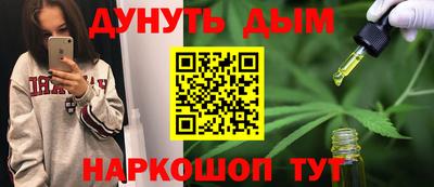 spice Новодвинск